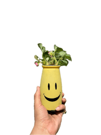Strawberries plant in a happy pot